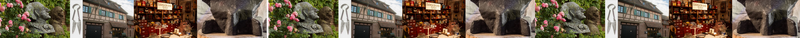 Datei:GHV Banner laenger.png