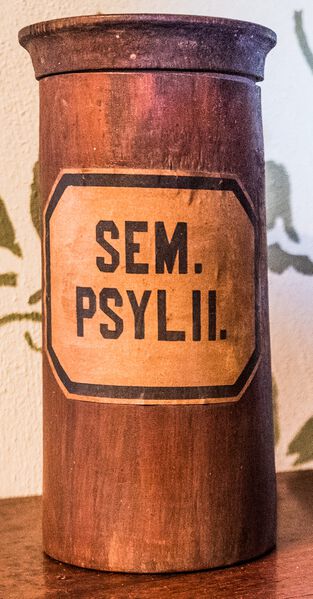 Datei:GHV Apotheke Standgefaess-Holz-SemPsylii.jpeg