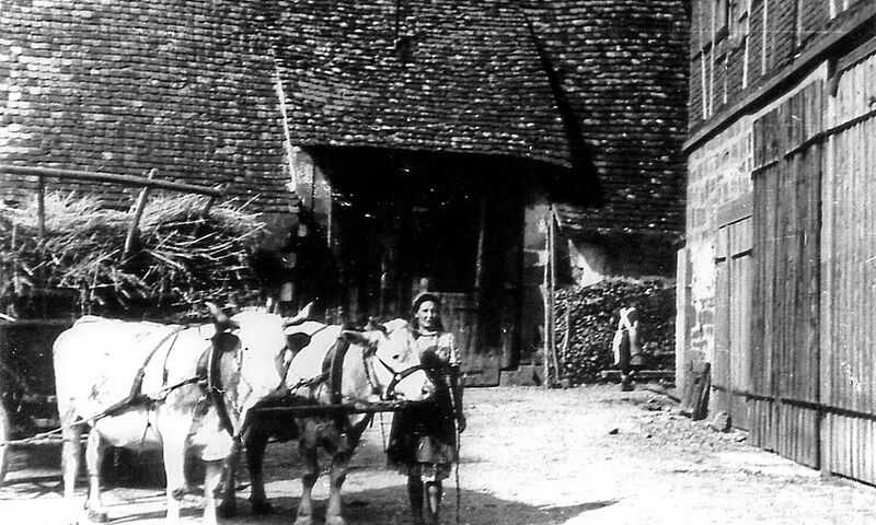 Datei:GHV altes Bild aufdemSchafhof.jpg