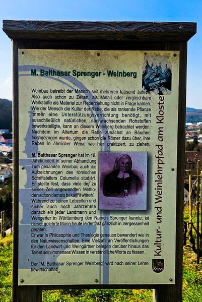 Datei:GHV Winzerei-Sprenger-Weinberg.JPG