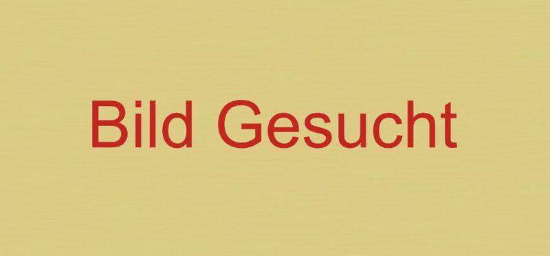 Datei:Bild-Gesucht.JPG