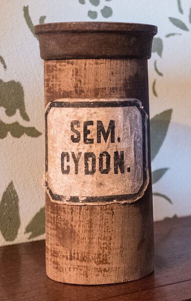 Datei:GHV Apotheke Standgefaess-Holz-SemCydon.jpeg