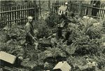 H.Balb bei der Pflege der Miniaturlandschaft